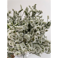 Dekorasi Rumah Pernikahan Limonium Bunga Kering Putih Pink Kristal Rumput Alami Bunga dan Tanaman Kering untuk Rangkaian Bunga