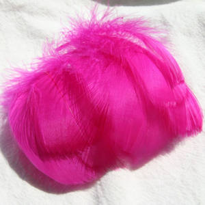 Plumas de Ganso Flotantes Pequeñas de 5-8 cm, 100 Unidades por Bolsa, Teñidas para Relleno de Prendas, Pendientes, <span class=keywords><strong>Atrapasueños</strong></span> y <span class=keywords><strong>Manualidades</strong></span> - Product Image 2