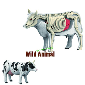 Kit de jouets scientifiques bricolage Offre Spéciale pour tous Puzzle 3D ensemble d'animaux sauvages avec organes d'anatomie en plastique <span class=keywords><strong>jeu</strong></span> de squelette pour enfants - Product Image 3