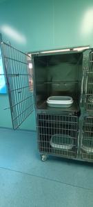 4 bölmeli paslanmaz çelik kedi kafesi-tekerlekler ile kilitlenebilir Pet hastane kulübesi, klinik için veteriner hayvan barınağı taşıyıcı - Product Image 3