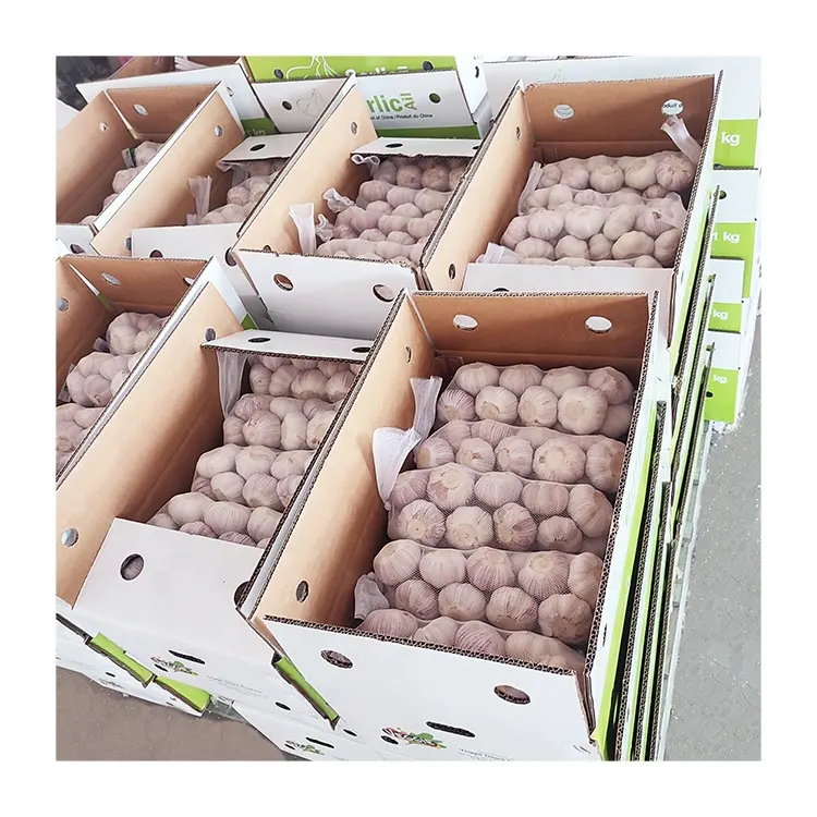 Prezzo di fabbrica verdure fresche in sacchetto di rete da 20kg 2023 più nuovo raccolto bawang putih fornitore originale aglio essiccato completo per il commercio all'ingrosso