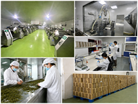 Fournisseur OEM de poudre de matcha de qualité cérémonielle en marque blanche pour emballage personnalisé en sachet/boîte et approvisionnement en vrac