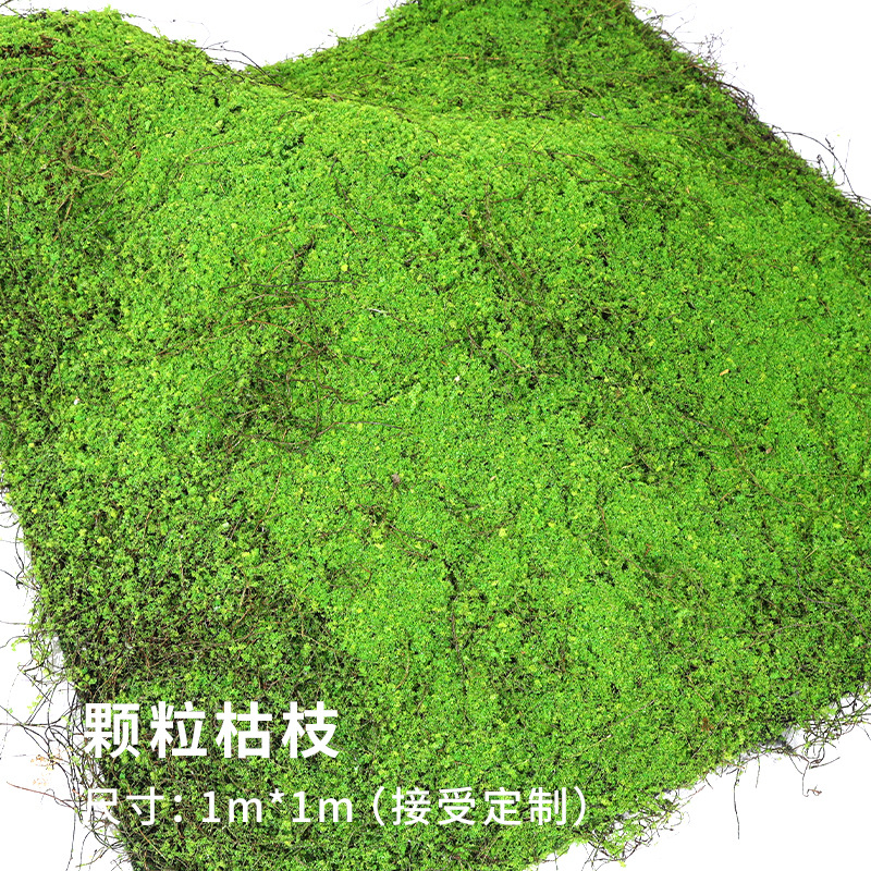 Particles and dead branches