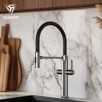 Robinet de cuisine en acier inoxydable avec douchette extractible, design moderne, filtre pour robinet de cuisine