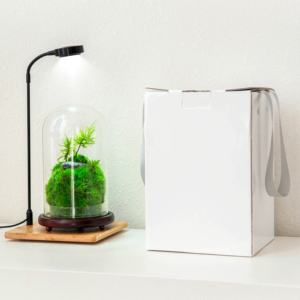 Every Love la forêt tropicale zéro (M) Sculpture botanique un Terrarium en mousse préservée vente en gros - Product Image 6