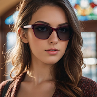 Lunettes de soleil magnétiques OEM en cristal TR90 à clipser 2-en-1, monture flexible pour lunettes de vue anti-lumière bleue, adaptées aux verres correcteurs