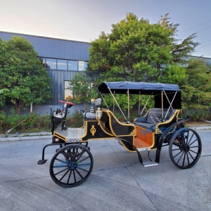 Carroza Eléctrica Negra de Alta Calidad para Turismo, Transporte Especial, Fabricante en Venta, Ofrecemos Depósito Personalizado - Product Image 2