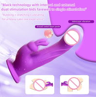 Vibrateur sexuel à double vibration et ventouse, télécommandé sans fil, pour masturbation féminine – Jouet sexuel pour adultes très populaire