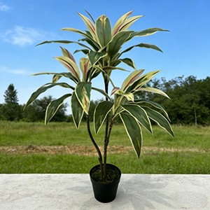 Árbol de Hierro de Sangre de Dragón de Simulación Bicolor Zhu Jiao para Decoración de Escenas de Hotel, Navidad y Graduación - Product Image 4