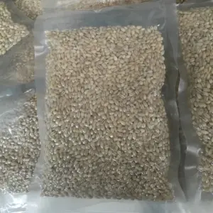 Barley Max Yellow White Animals Customized Crop Style Packaging Color Brown Origin Type Year Dried PROTEIN Supply Min Broken