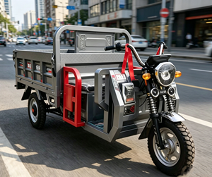 2026 New Heavy Duty Tricycle 300-500kg Load Open Body Large <b>Box</b> Farm Transport Available - Product Image 1