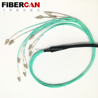 12 Core Singlemode Fiber Optic Patch Trunk Cable Optical Patch Cord Lc-lc with Pulling Eye