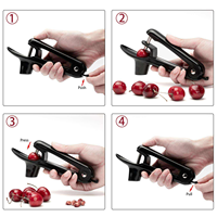 Ultime Fruit Core Remover Gadget-Outil d'extraction de noyaux de cerises/olives multifonction avec boîte collectrice