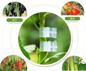 100 pièces Clips de ruban de greffage 1 paquet ruban de greffage Support de tige de plante Clips de fixation de <span class=keywords><strong>vigne</strong></span> Clips de croissance de semis accessoire de jardinage - Product Image 3