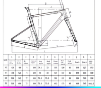 BeeBIKE SLR03 Vollcarbon-Rennrad mit Shi Mano 105 R7120 2x12-Gang-Schaltgruppe, 7,9 kg Leichtgewicht, Integrierter Carbon-Lenker