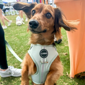 Nuovo prodotto imbracatura per cani morbida imbottita guinzagli collare per animali domestici accessori per camminare per cani - Product Image 6