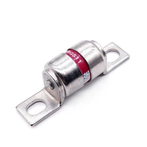 GB13539 RGS Serie RGS4 RGS11 40A CR2L GSB 500V AC 50Hz Fusible cilíndrico de acción rápida Enlace T Tipo Recorte Vehículos Fusible automático - Product Image 6