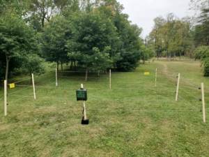 Energizador Electrónico de Cerca de Alto Voltaje de 12000V, Sistema de Carga Solar de 1.5 Joules para Control de Ganado, Caballos y Depredadores, 30KM - Product Image 5