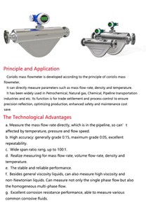 Medidor de Flujo Másico Coriolis de Betún de Alta Temperatura (230 Grados Celsius) de Acero Inoxidable Digital de Alta Precisión OEM RKS - Product Image 2