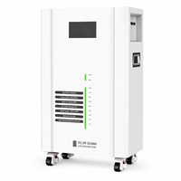 Batterie de stockage d'énergie solaire de secours LiFePO4 de type tour 51,2 V 314 Ah 16,076 kWh avec indicateur de niveau LED, sur pied