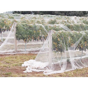 Ad alta densità HDPE UV hdpe Lavorato A Maglia uccello di compensazione heavy duty <span class=keywords><strong>rete</strong></span> di plastica garden anti uccello <span class=keywords><strong>rete</strong></span> di - Product Image 3