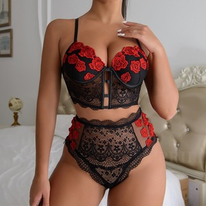Conjunto de Lencería Sexy para <span class=keywords><strong>Mujer</strong></span>, Encaje Rojo con Bordado Floral, Sujetador <span class=keywords><strong>Push</strong></span>-<span class=keywords><strong>Up</strong></span>, Bragas Sexys Transparentes, Tentación Erótica, Ropa Interior Sensual - Product Image 1