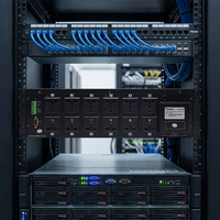 Thinuna SP-6212E II Dispositivo Periférico de Audio, Equipo de Sonido Profesional, Sistema de Sonido de 12 Canales, Unidad de Distribución de Energía (PDU)