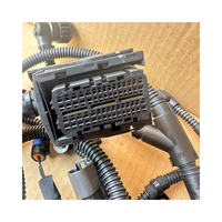 Arnés de Cableado para Módulo de Control Electrónico de Motor DCEC QSG12 para Maquinaria de Ingeniería, 5575136