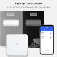 Interrupteur intelligent Zigbee pour chaudière, contrôleur de chauffe-eau 30A, application Smart Life Tuya, télécommande, Alexa, Google Home, panneau en verre