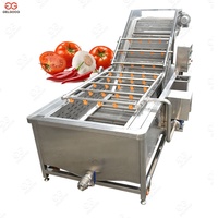 Gelgoog Groente Verwerking Machine Sla Wassen Lijn Fruit Tomaten Wassen Lijn