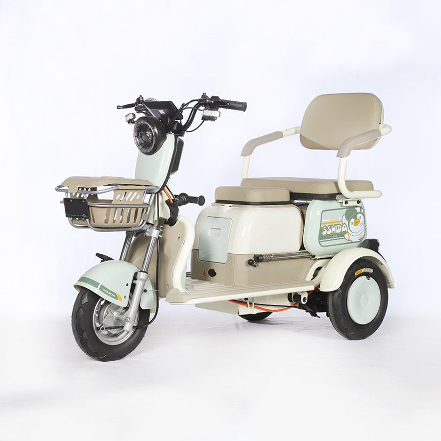 Goldwing Trike for Sale 2025 Electric 3-Wheel Motorized Trike
