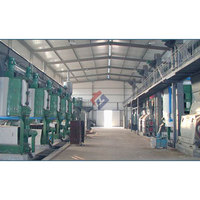 Rijstvliesolie-oplosmiddel-extractiemachine, olie-extrusie- en raffinageproject, verwerkingsinstallatie