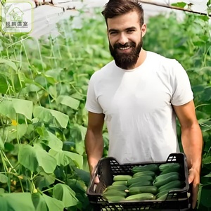 Serre agricole tropicale intelligente de 500 m2, tunnel de serre pour la culture de tomates, structures de serre pour jardin <span class=keywords><strong>potager</strong></span> - Product Image 6