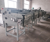 Machine à éplucher les noix de cajou automatique à haut rendement Machine à éplucher les noix de cajou Machine à éplucher les noix de cajou Ligne de production de niveleuse