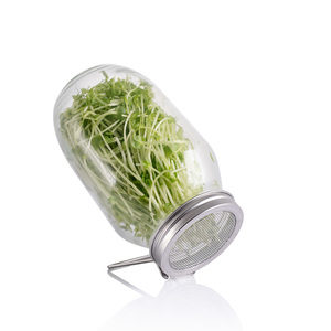 Kit <span class=keywords><strong>de</strong></span> Germinación <span class=keywords><strong>de</strong></span> Semillas al por Mayor, <span class=keywords><strong>Frasco</strong></span> <span class=keywords><strong>de</strong></span> <span class=keywords><strong>Vidrio</strong></span> <span class=keywords><strong>de</strong></span> Grado Alimenticio <span class=keywords><strong>de</strong></span> 50 oz Libre <span class=keywords><strong>de</strong></span> BPA con Tapa <span class=keywords><strong>de</strong></span> Acero Inoxidable - Product Image 3