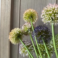 Fleur artificielle d'oignon KW-F172 à tige unique, en plastique, pour arrangement floral et décoration de mariage