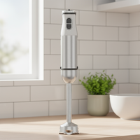 Mixeur Plongeant 500/1000W à Moteur en Cuivre Pur, Vitesse Variable, Corps Détachable, pour Soupe/Smoothie