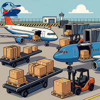 Transport aérien général DDP Chine vers Afrique du Sud pour l'e-commerce et les commerçants, livraison à domicile