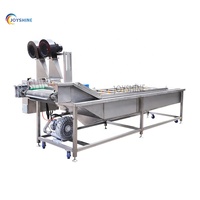 Shandong Fabriek Levering Ce Goedgekeurd Kleine Schaal Mango Dragon Fruit Groente Bubble Wasmachine