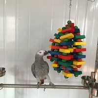 Jouets à mâcher pour perroquets en bois naturel écologique, style dessin animé, jouet coloré pour animaux de compagnie, pour une utilisation en intérieur/extérieur