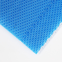 Ceinture en tissu de déshydratation en polyester pour le traitement des eaux usées pour la machine de déshydratation des boues et la filtration des liquides