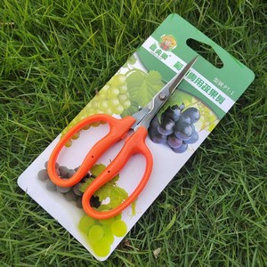 Ciseaux de taille-vigne Farmer's Joy 10-20 mm en acier inoxydable avec poignée orange, ciseaux de jardinage multifonctionnels - Product Image 5