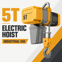 Palans électriques à chaîne de type européen de 5 tonnes pour le chargement en entrepôt et le levage sur ligne de production