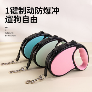 Laisse rétractable automatique pour animaux de compagnie, bleu ciel, matériau ABS, pour chiens de petite et moyenne taille - Product Image 2
