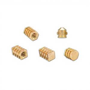 Inserts hexagonaux en laiton poli, fournisseur indien, modèles M6, M4, M10, taille de filetage M3 pour usage industriel, catégorie écrous - Product Image 2