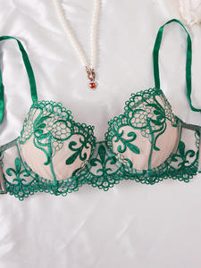 2026 Transparenter BH und Slip Schwarz Rot Durchsichtige Intimwäsche 2-teiliges Set Sexy Netz-Spitzen-Stickerei Dessous-Set - Product Image 5