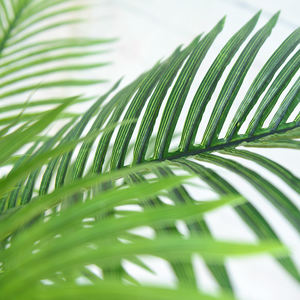 Plantes artificielles de grande taille en gros Palmier <span class=keywords><strong>Areca</strong></span> 3 pieds 4 pieds 6 pieds Faux palmier pour la décoration de la maison, du jardin, de l'extérieur et du bureau - Product Image 4