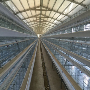 เล้าไก่แบตเตอรี่อัตโนมัติสำหรับไก่ไข่อุปกรณ์ฟาร์มสัตว์ปีกสำหรับไนจีเรียเคนยาหนูตะเภาฟาร์มสภาพใหม่ - Product Image 2