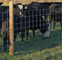 Cerca Galvanizada Reforzada para Granja, 4 pies x 164 pies, Protección para Ganado, Seguridad para Patio y Pasto, Construcción Resistente