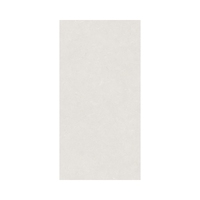 Carreaux de céramique mats modernes de haute qualité 1200x600x10mm pour la décoration des sols et des murs de salles de bain, salles à manger, villas et centres commerciaux